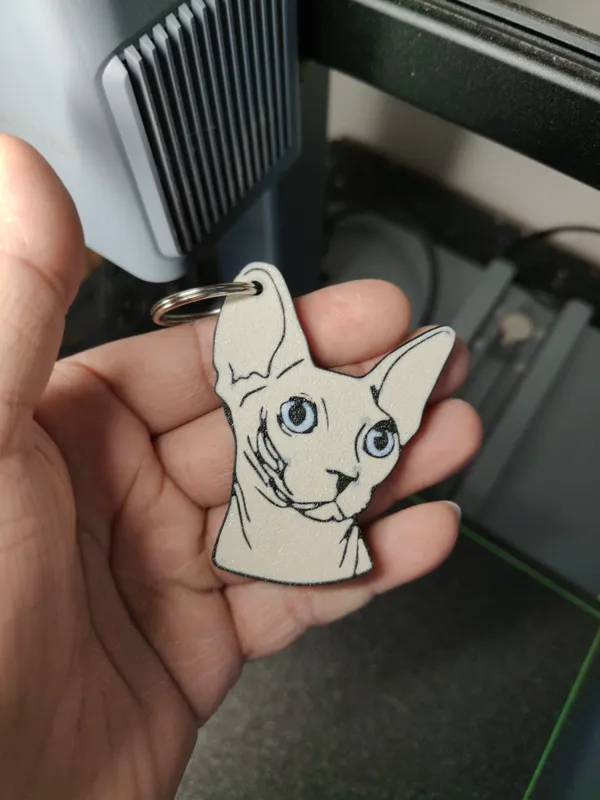 https://makerworld.bblmw.com/makerworld/model/US27476cb2561e28/design/2024-01-24_1d17ee9308758.jpg