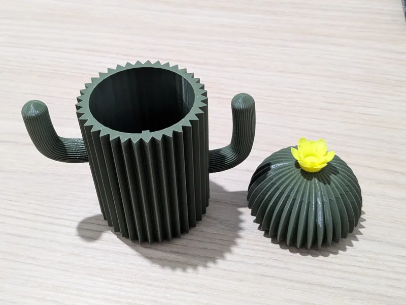 Portapenne Cactus