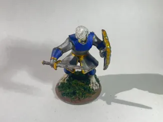 Dragonborn Paladin – D&D Warrior Rhogar