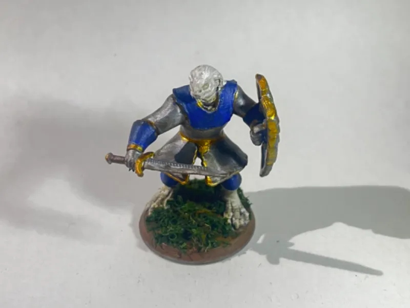 Dragonborn Paladin – D&D Warrior Rhogar