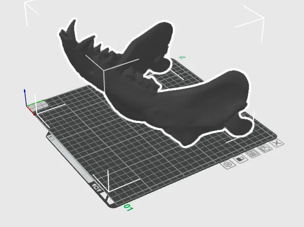 Mask Lower