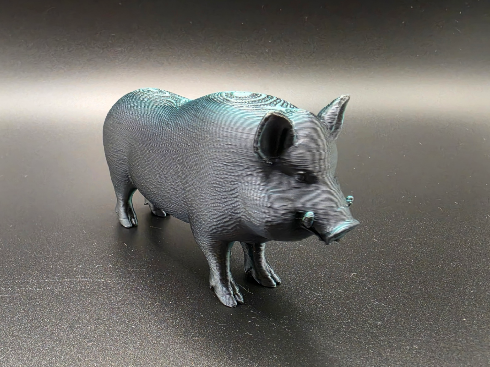 Wildschwein – Tiere aus aller Welt