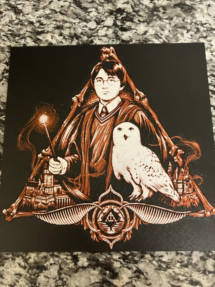 harry potter (hueforge print)