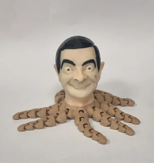 https://makerworld.bblmw.com/makerworld/model/US27523c94c493dc/design/2024-01-24_ec8ab40bdfaef8.webp