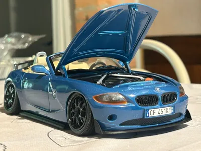 BMW Z4 1-18 Aesthetic Kit