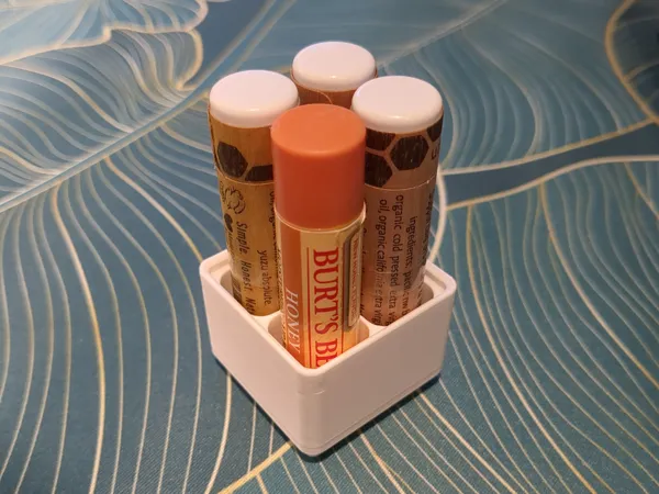 https://makerworld.bblmw.com/makerworld/model/US27580457a11fb4/design/2025-02-11_8e589c7936d82.jpg