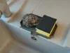 0.2mm layer, 2 walls, 20% infill