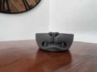 V1 - Teeth