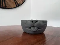 V2 - tongue