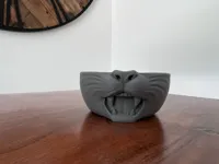 V3 - mouth open