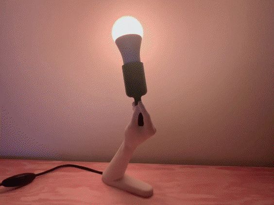 https://makerworld.bblmw.com/makerworld/model/US276115a919d412/design/2024-02-21_f80a1539517268.gif