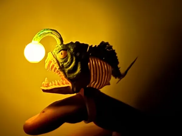https://makerworld.bblmw.com/makerworld/model/US2762603e9fddaf/design/2616358057470606.jpg