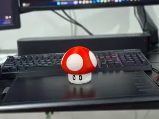 Mushroom Container
