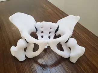 Pelvis desmontable