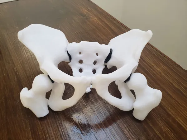 https://makerworld.bblmw.com/makerworld/model/US276a5670335a8e/design/0175201fdd79a8cb.jpeg