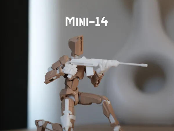 https://makerworld.bblmw.com/makerworld/model/US276f0480b5c86a/design/2024-11-21_210539130465b8.png