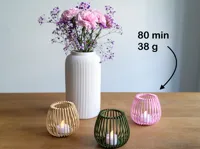 PLA - 0.2mm layer, 2 walls, 15% infill