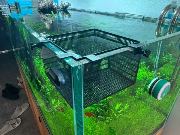 https://makerworld.bblmw.com/makerworld/model/US27737ee171ed2d/design/68c3ead530d61beb.jpg