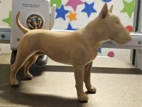 Bull Terrier réaliste — photo 1