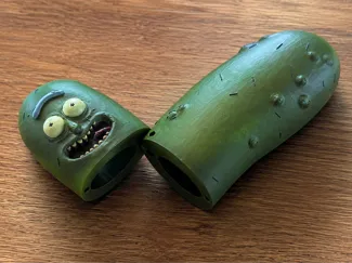 Pickle Rick BIC Lighter Case