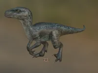 Vélociraptor Blue — photo 1