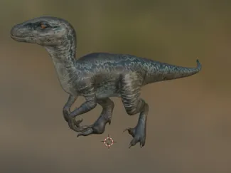 Velociraptor 