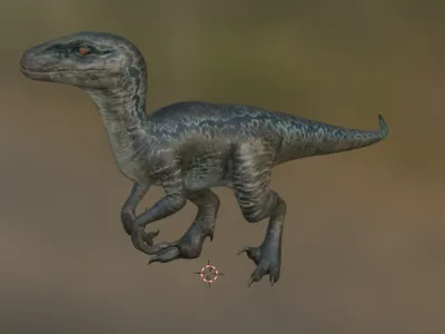 Velociraptor 