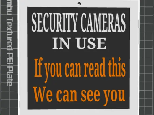 Security Cameras In Use