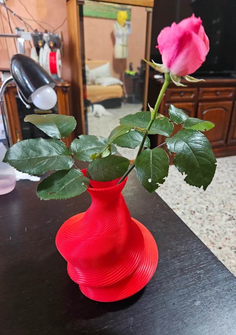 Moder Vase