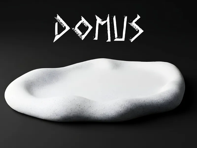 DOMUS - Svuota tasche Organico e Minimal