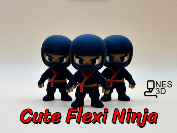 Cute Flexi Ninja
