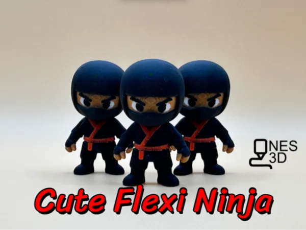 https://makerworld.bblmw.com/makerworld/model/US27869e8f07b171/design/5ff7e99c95b89aca.png
