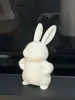 Little Rabbit with Hands on Hips