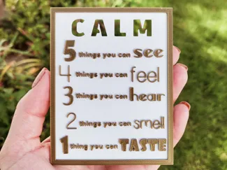 5-4-3-2-1 Calming Technique