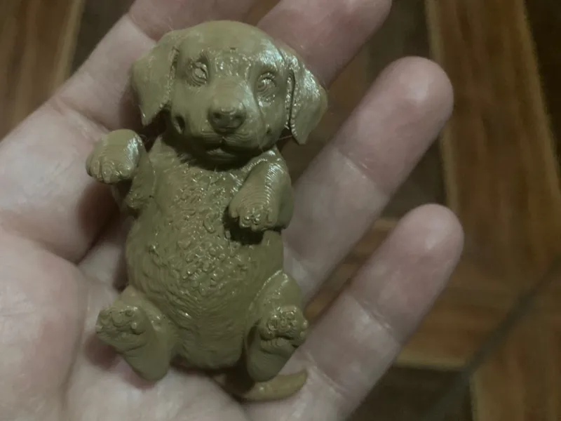 Perro Golden Retriever de espaldas.