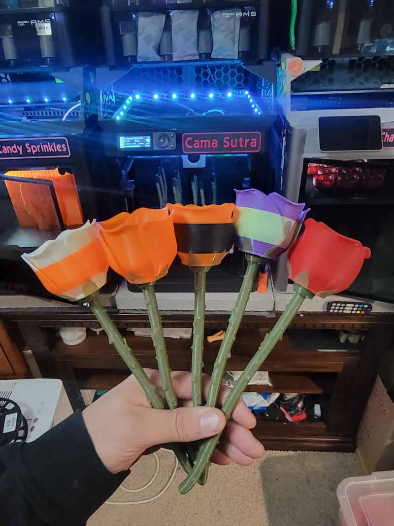 Anti-Valentines Day Rose