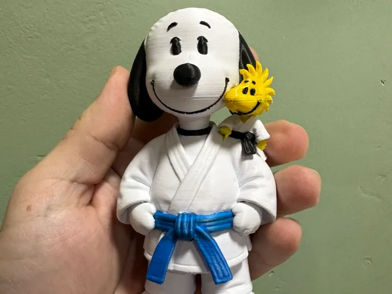 Snoopy Jiu Jitsu