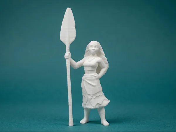 https://makerworld.bblmw.com/makerworld/model/US27a21a5e128880/design/745cf5bc2eced9ef.png