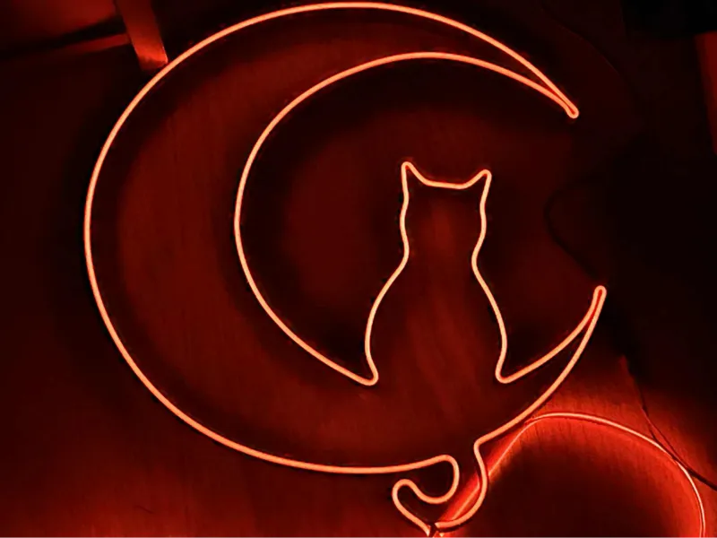 Moon Cat Neon Light – 3D Printed Wall Decor