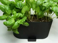 Outer Pot