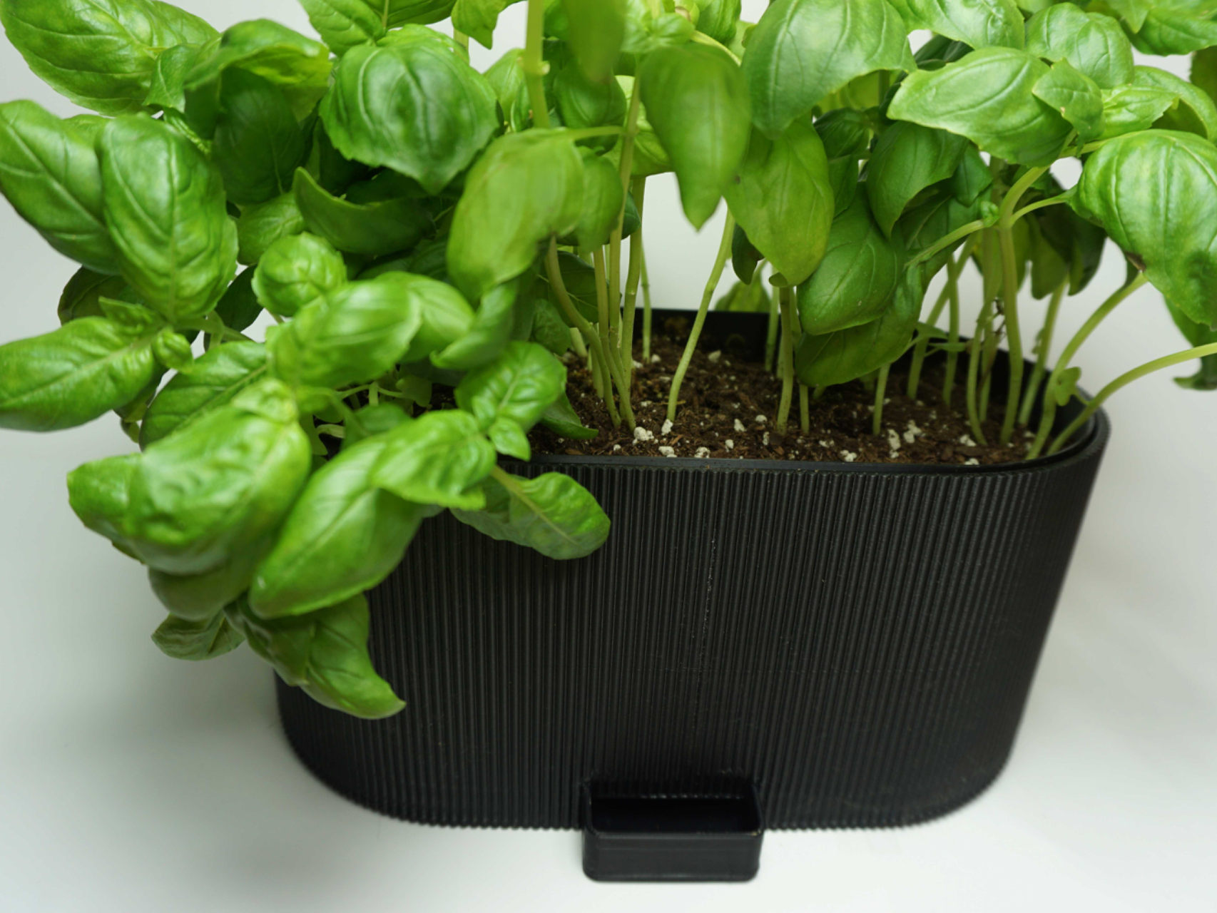 Modern Self-Watering Ribbed Planter
