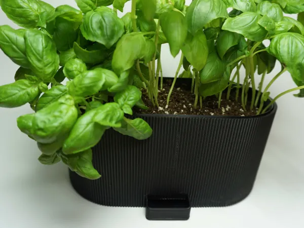 https://makerworld.bblmw.com/makerworld/model/US27a51130b5a3c6/design/bdf92a68e61234ee.jpg