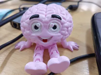 Articulated Brain