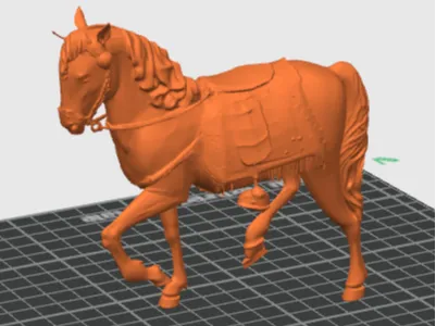 cavallo