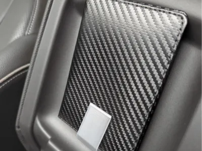 Vehicle Registration Clip