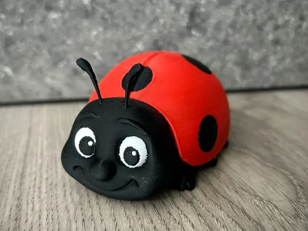 https://makerworld.bblmw.com/makerworld/model/US27b56c5fc2f162/design/2025-05-17_5a414c0b383ed.jpeg