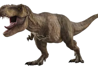 T-REX