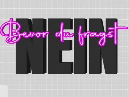 Spruch Bevor du Fragst - NEIN