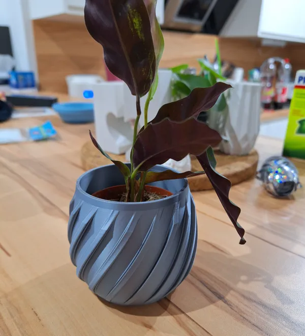 https://makerworld.bblmw.com/makerworld/model/US27c203852a2752/design/2024-05-16_e55535ef7d1ba.jpg