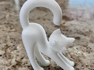 Stretching Cat